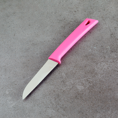 Aryıldız Düz Ağız Meyve Bıçağı Lila 8 cm - 2