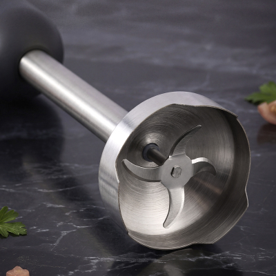 Aryıldız Functional Stick Blender Antrasit - 4