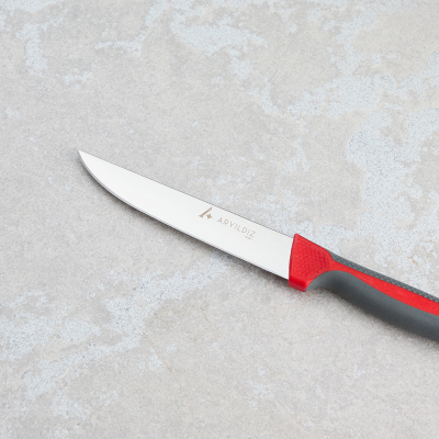Aryıldız Plurex Sebze Bıçak Antrasit 11 cm - 5