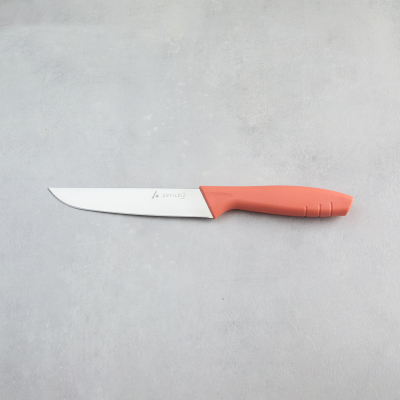 Aryıldız Primo Mutfak Bıçağı Somon 14,5 cm - 3