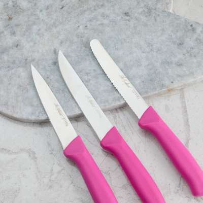 Aryıldız Rexa 3 Parça Sebze Bıçak Seti Lila 10 cm - 3