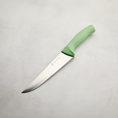 Aryıldız Rexa Et Bıçağı Açık Yeşil 18,5 cm - 4