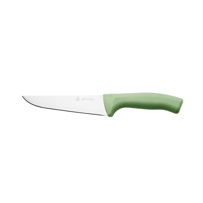 Aryıldız Rexa Et Bıçağı Açık Yeşil 18,5 cm - 7