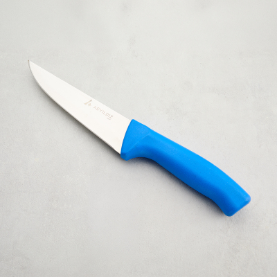 Aryıldız Rexa Et Bıçağı Mavi 14,5 cm - 5