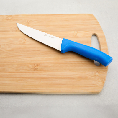 Aryıldız Rexa Et Bıçağı Mavi 16,5 cm - 2