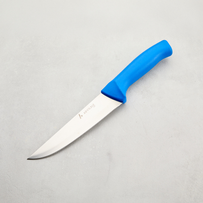 Aryıldız Rexa Et Bıçağı Mavi 16,5 cm - 6