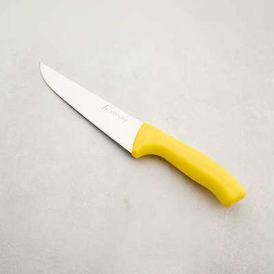 Aryıldız Rexa Et Bıçağı Sarı 18,5 cm - 5