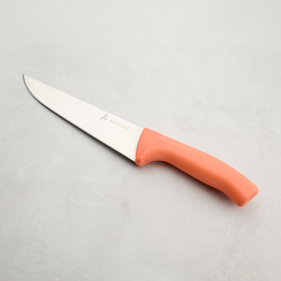 Aryıldız Rexa Et Bıçağı Somon 18,5 cm - 5