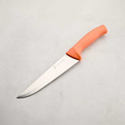 Aryıldız Rexa Et Bıçağı Somon 18,5 cm - 6