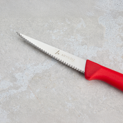 Aryıldız Rexa Tırtıklı Sebze Bıçak Kırmızı 10 cm - 4